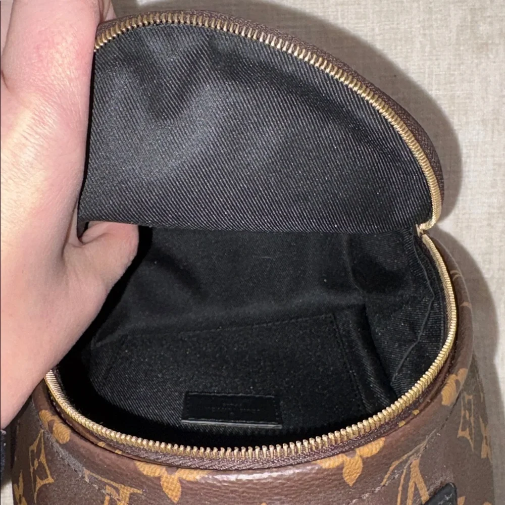Louis Vuitton Monogram Palm Springs Mini Backpack - Picture 4 of 8